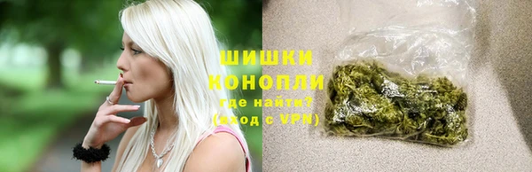бошки Белокуриха