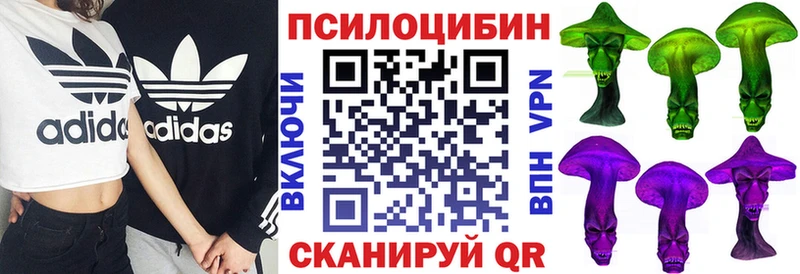 Псилоцибиновые грибы Magic Shrooms  купить наркоту  Можга 