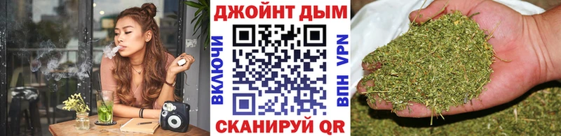 Шишки марихуана конопля  Можга 